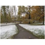 20101012_2.jpg