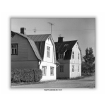 KADONNUTTA_HEINOLAA_35.jpg