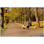 heinola_ts_50g.jpg