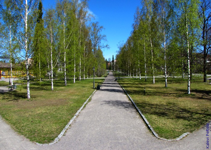 Kuva