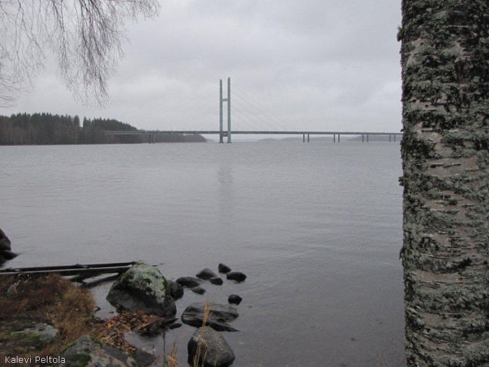 Marraskuun kuva