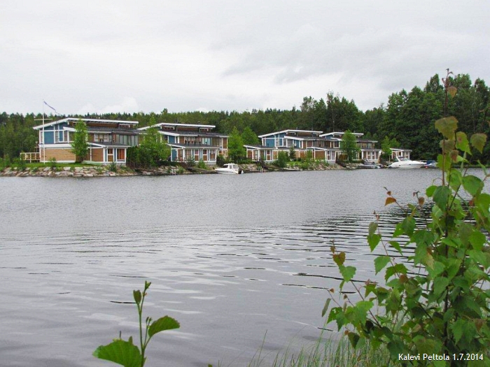 Hein&auml;kuun kuva
