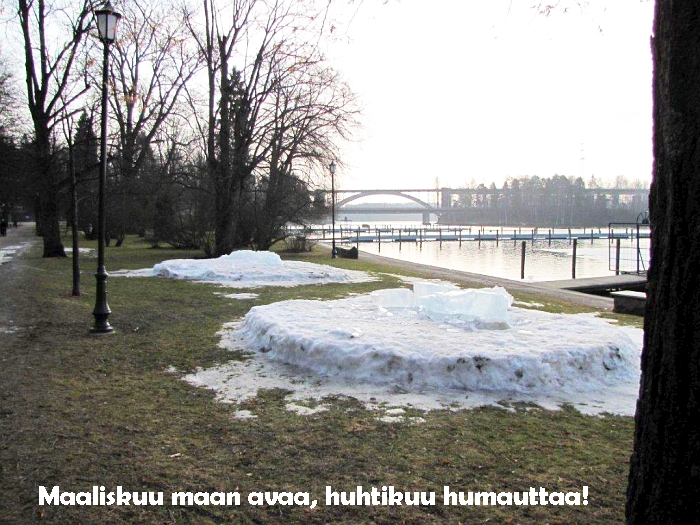 Maaliskuun kuva