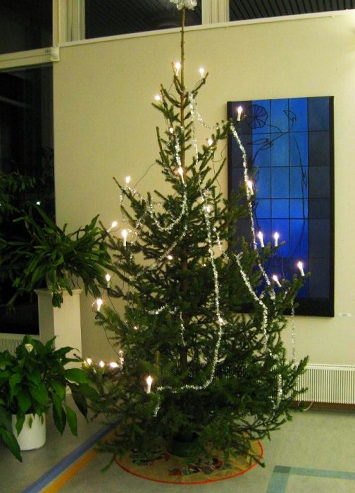 Joulukuusi