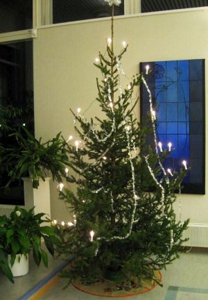 Joulukuusi
