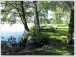 moljanpuisto_004.jpg