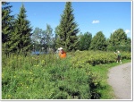 moljanpuisto_015.jpg