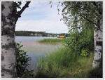 moljanpuisto_018.jpg