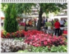 sadonkorjuumarkkinat_2016_001.jpg